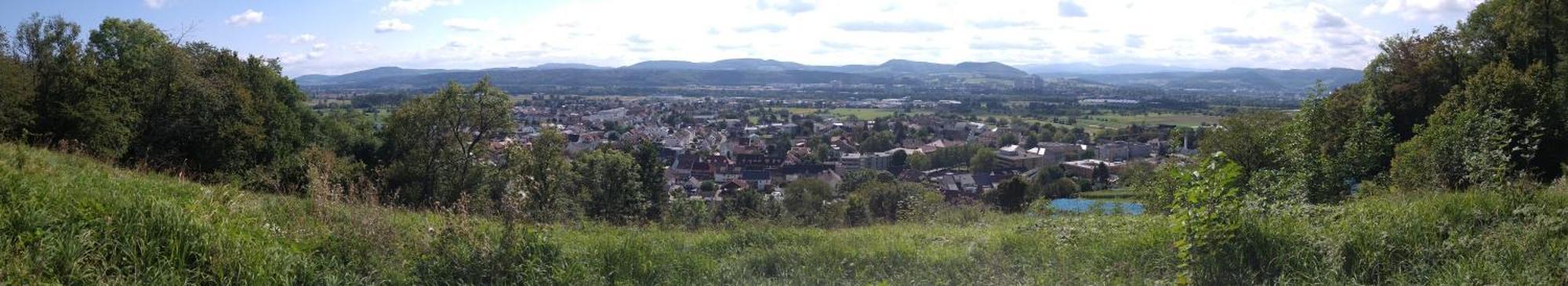 Top Appartement Fuer Urlaub Und Business Im Dreilaendereck Herten  Buitenkant foto